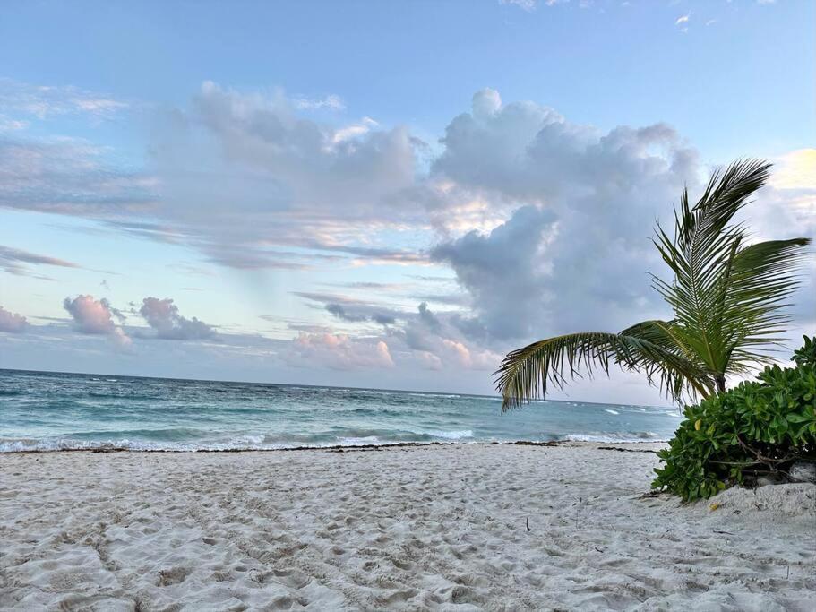 3 Bedroom Luxury Condo Next To Beach & Pools, Ac And Internet อากุมัล ภายนอก รูปภาพ